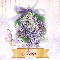  花の癒しを届ける霞先生