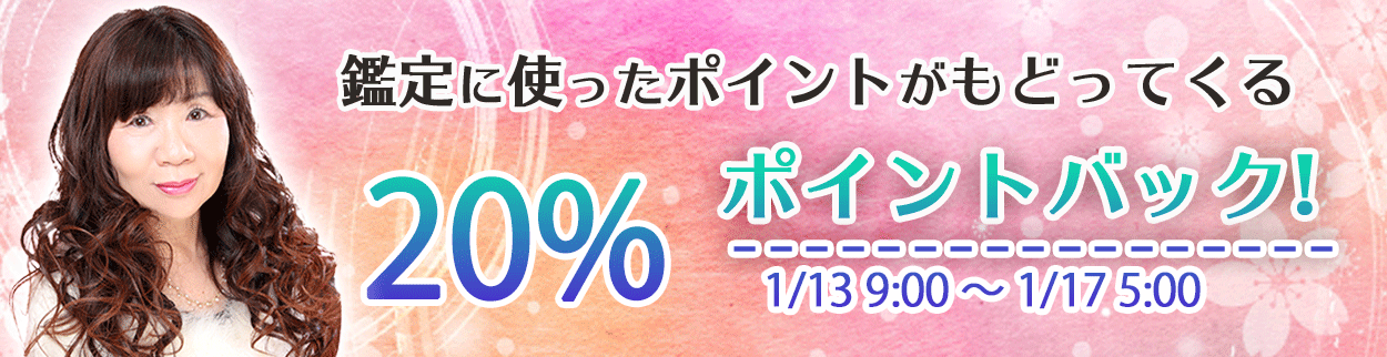 20%ポイントバックキャンペーン